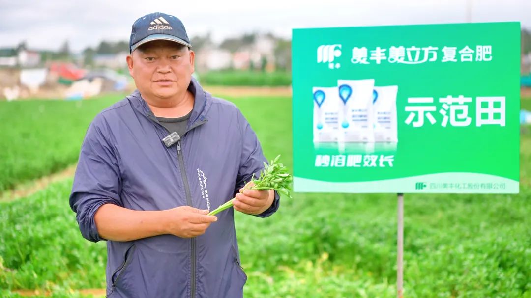 南方农村报：凯发·k8国际好肥助力彩云之南果蔬香飘四季