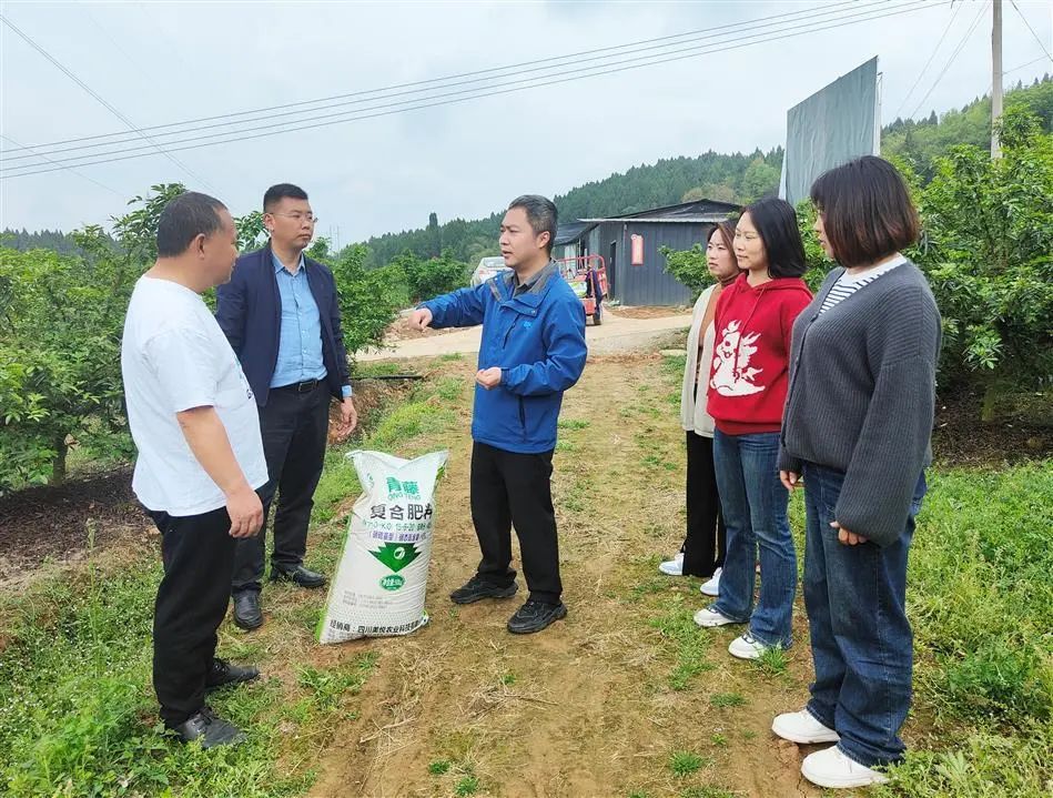 旌阳融媒：爱心化肥送上门 助力生产暖人心