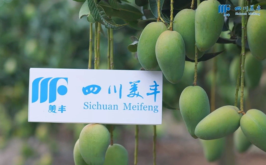 南方农村报：?凯发·k8国际系列新品热销海南，让品质提升更轻松