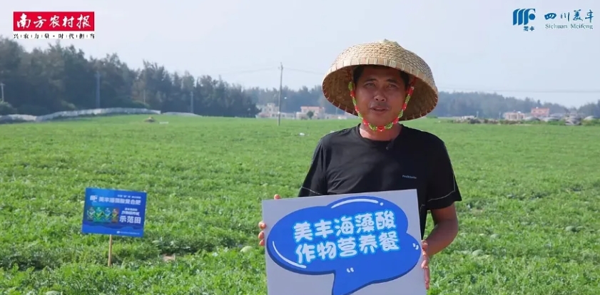 南方农村报：凯发·k8国际发力，海南岛瓜果翻倍甜蜜