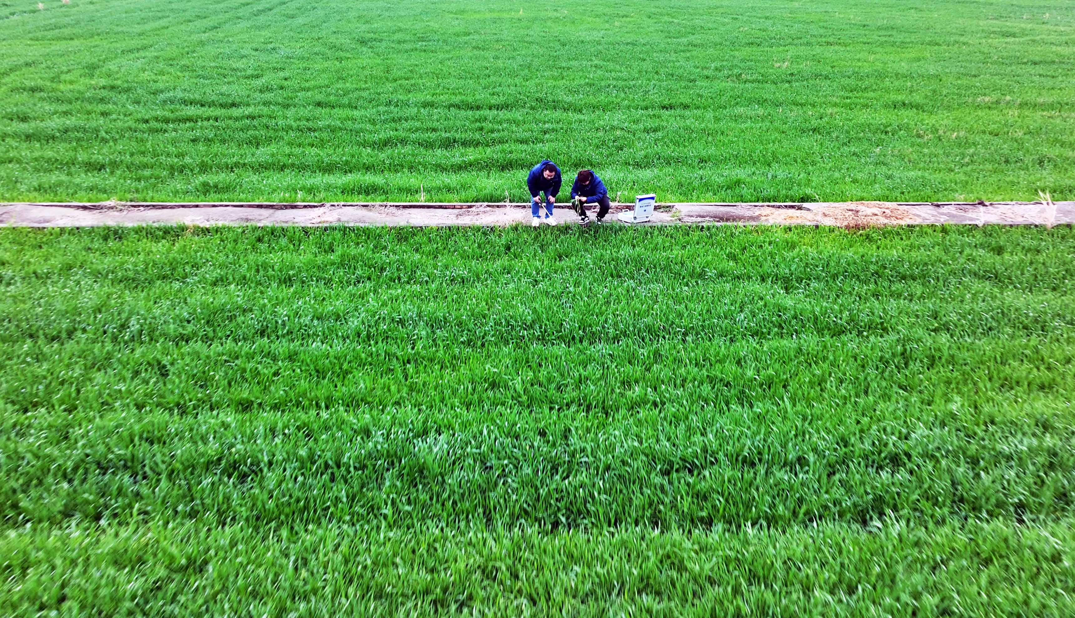 服务春耕：农化服务当先锋添动力